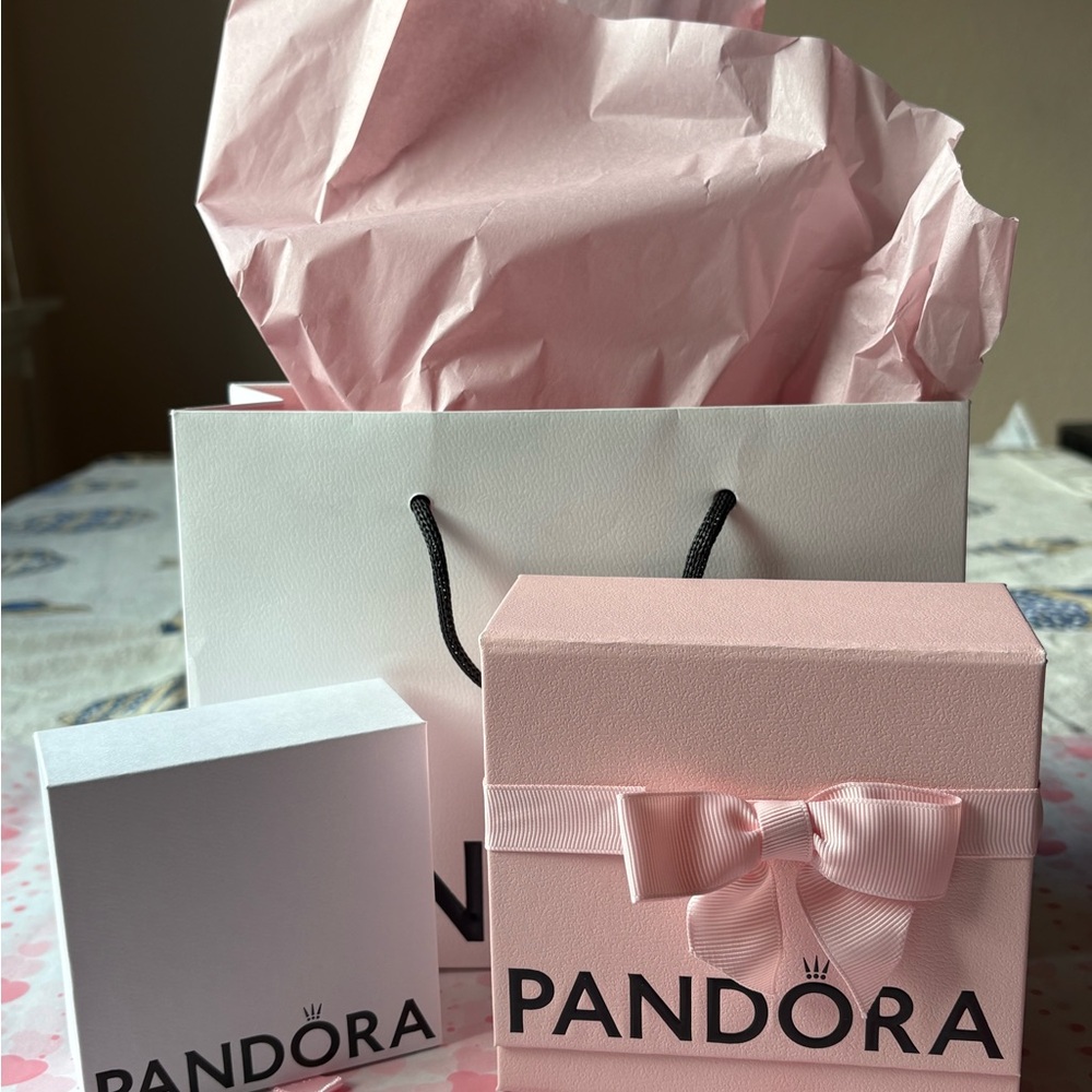 🎀 PANDORA BAG AND BOX BUNDLE 🎀 NWOT 🎀